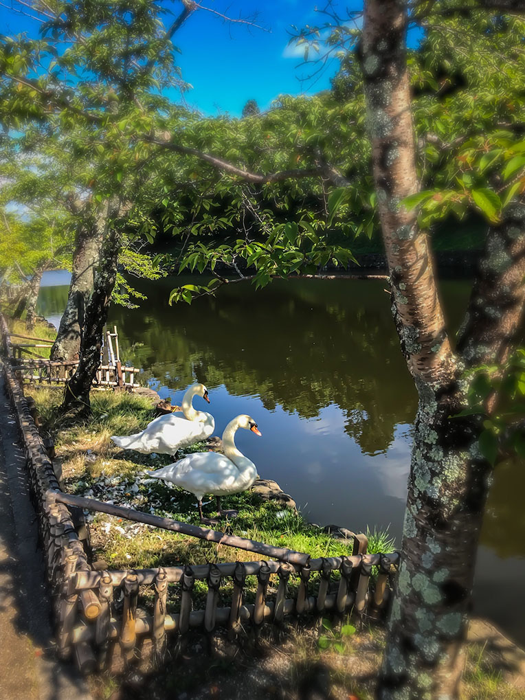 Hikone
