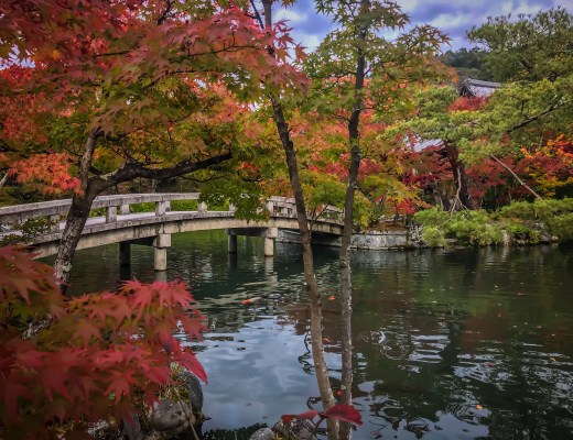 autumn leaves - Kyoto