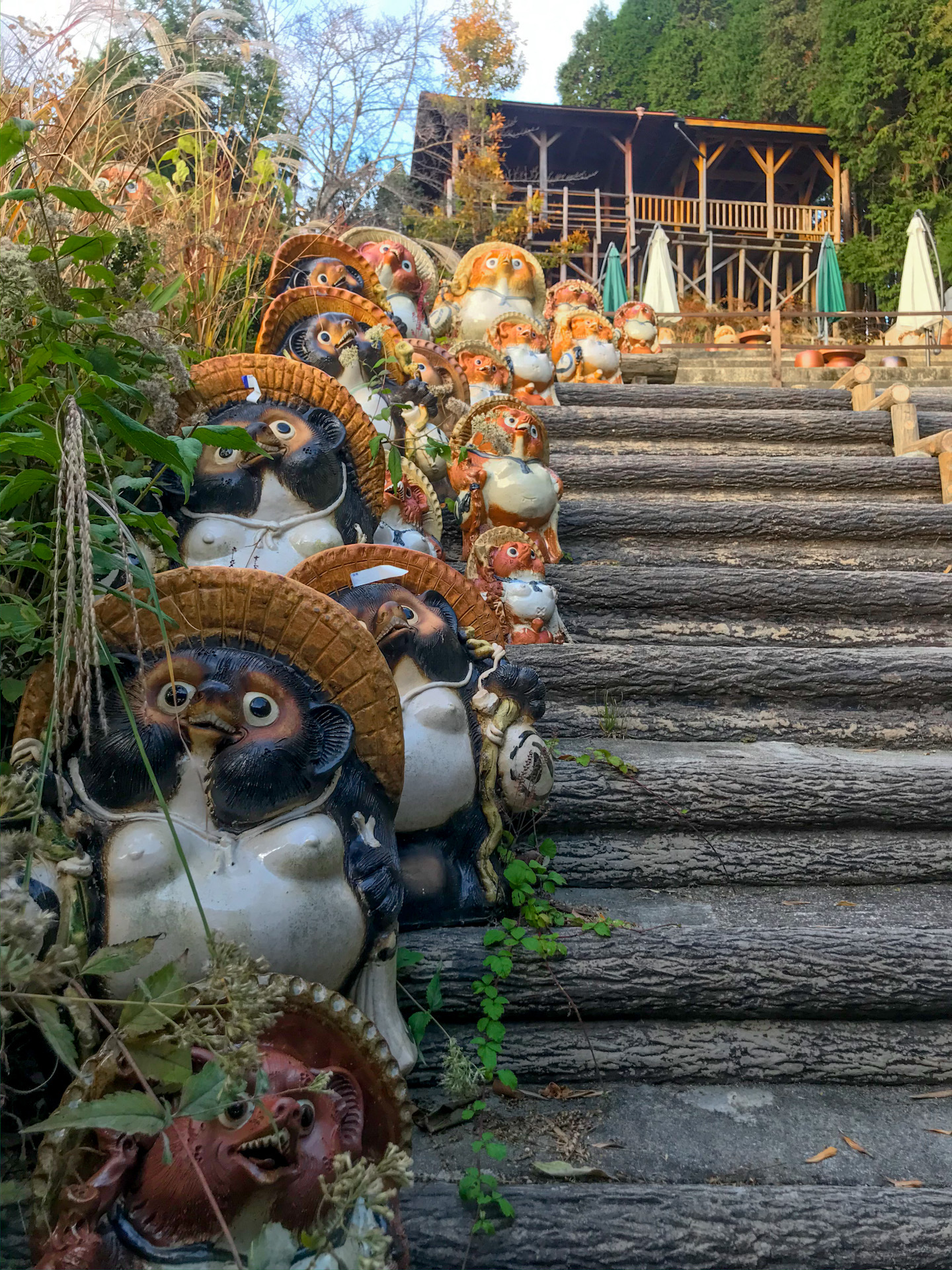 tanuki shigaraki