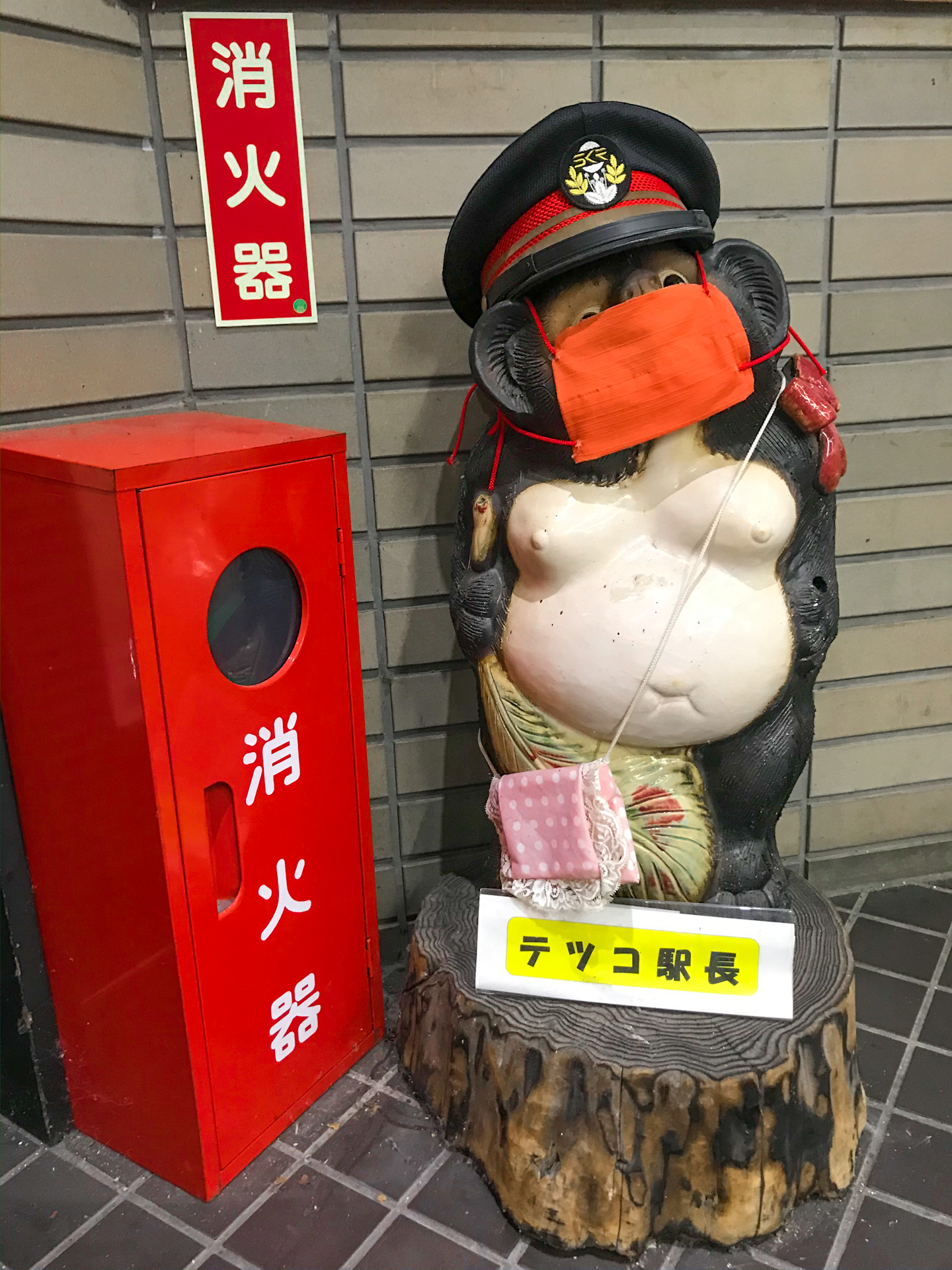 tanuki COVID