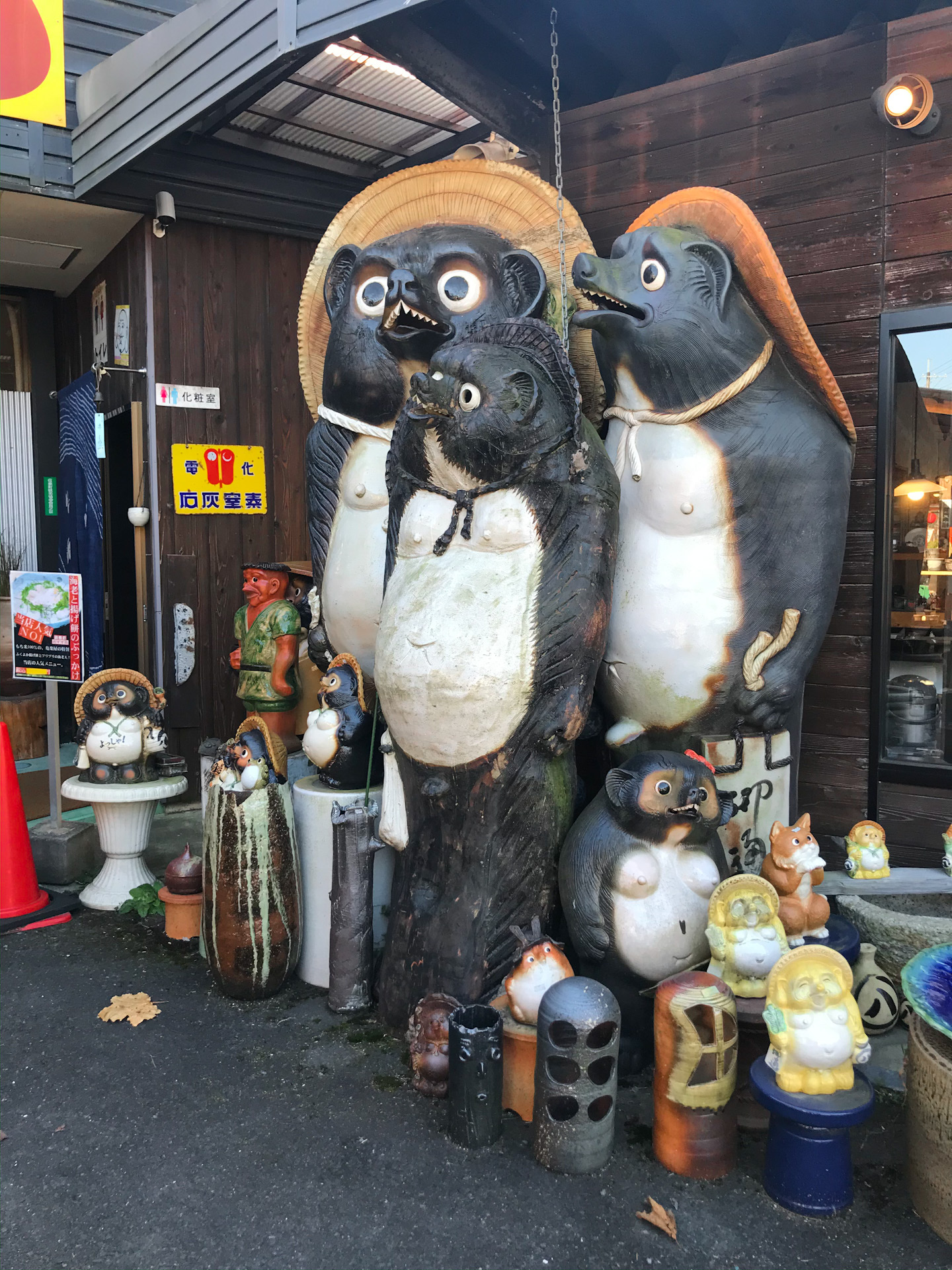 tanuki shigaraki
