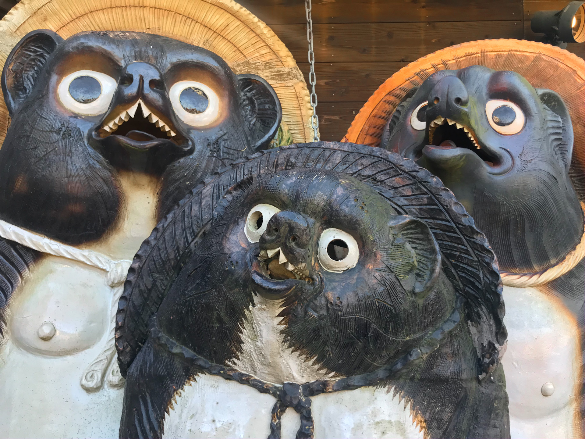 tanuki Shigaraki