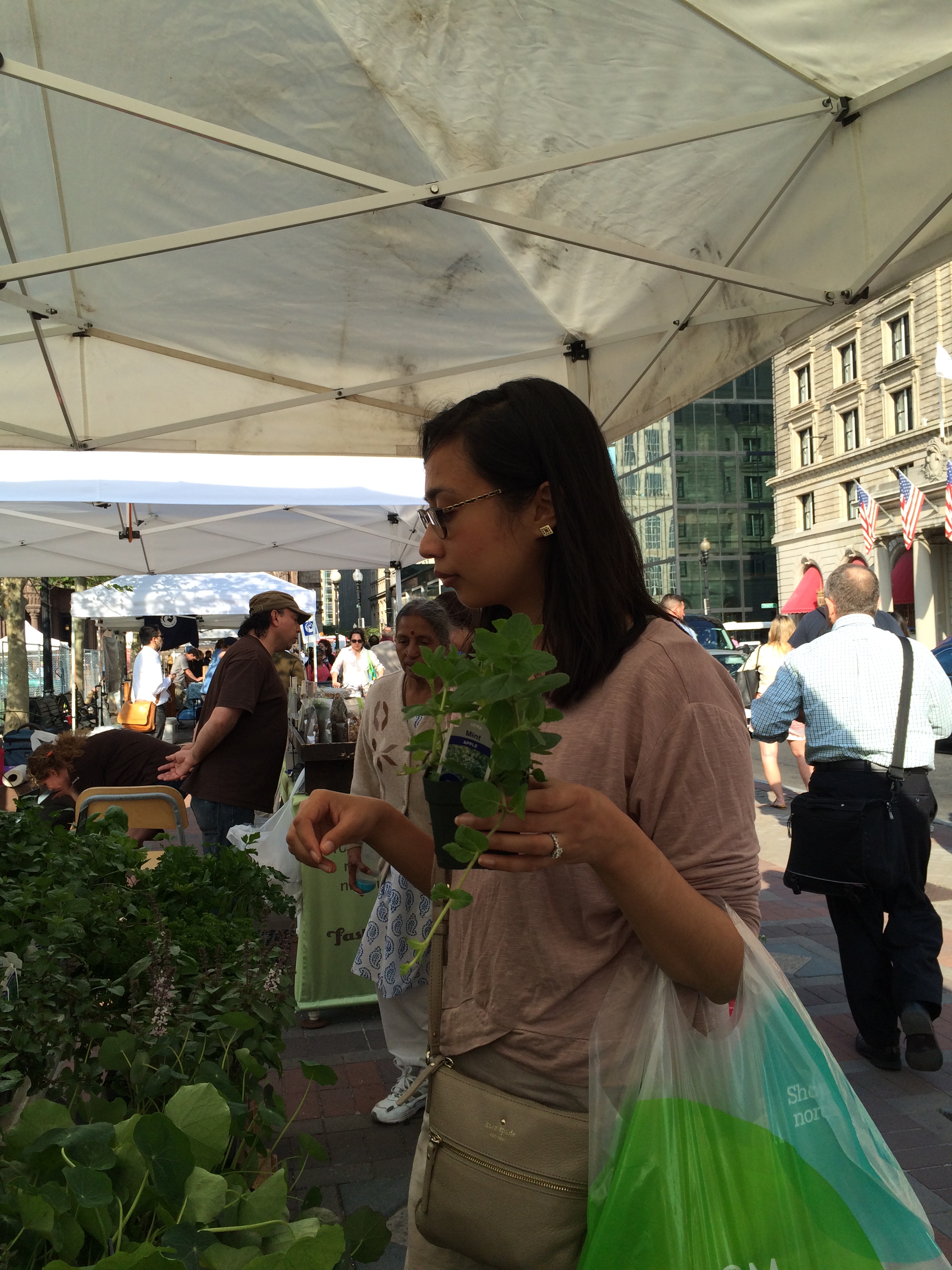 Copley Square farmer's market