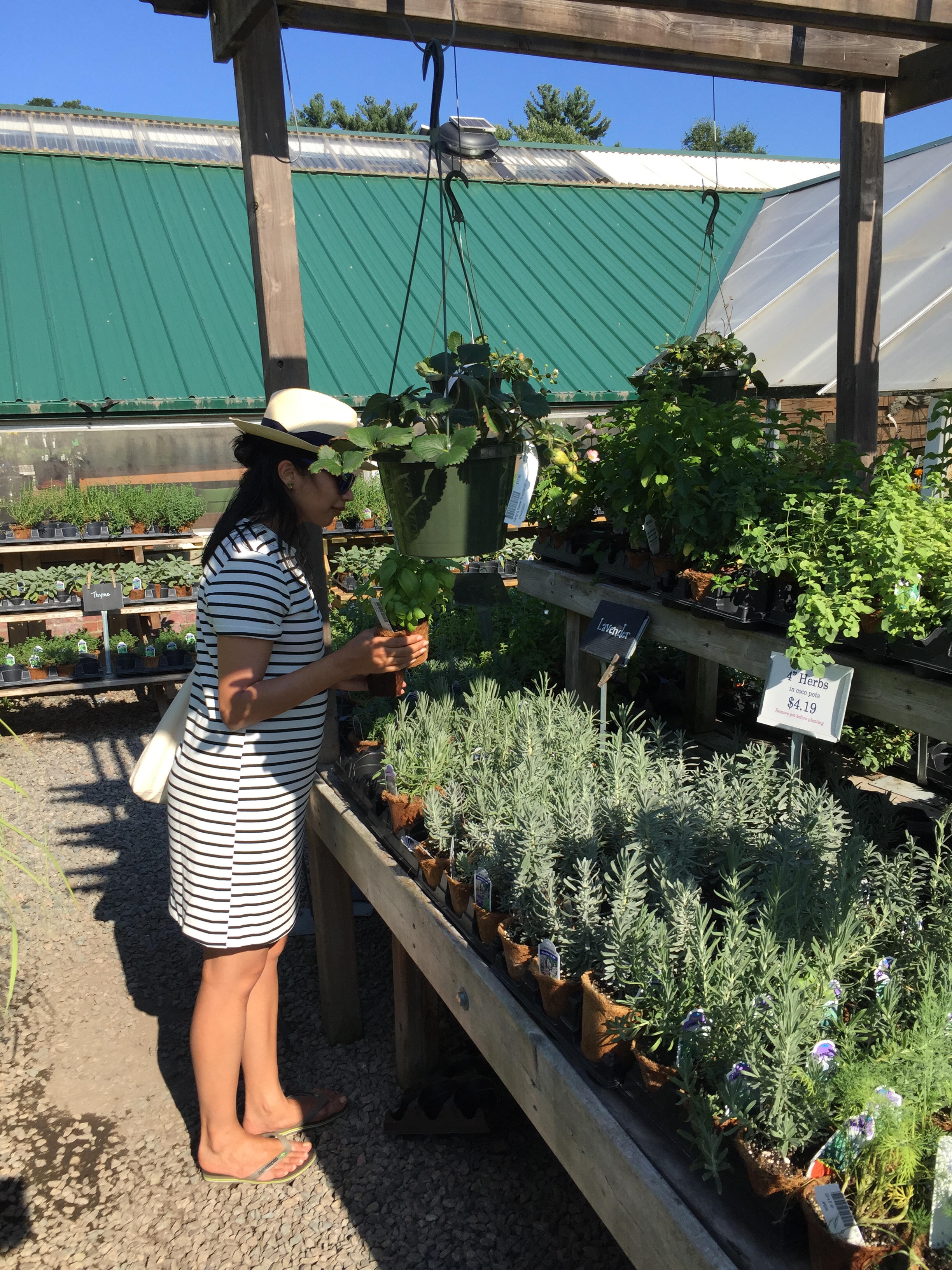 farmstand