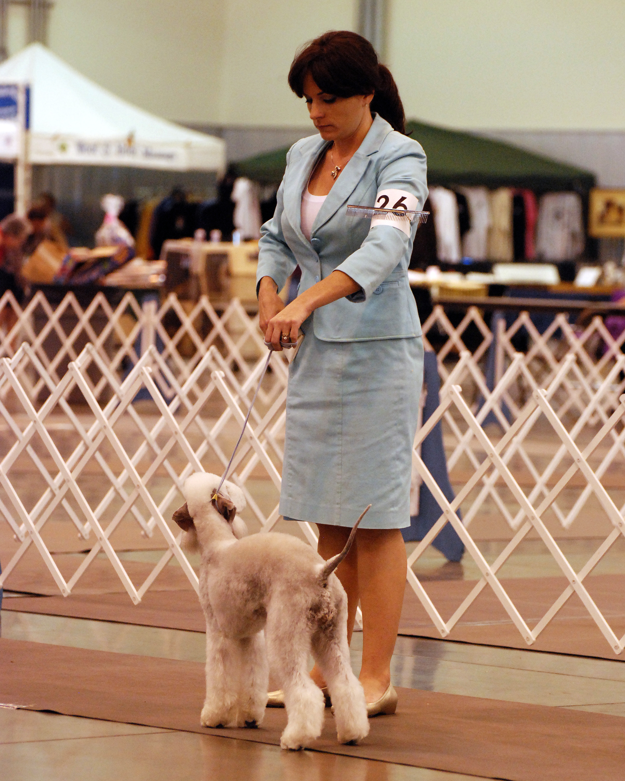 Why We Hire Handlers Casey Kerries From The Inside Out