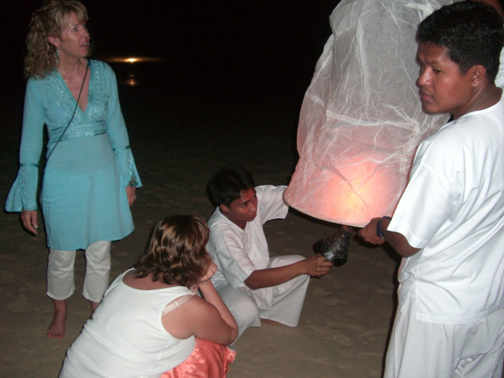 lantern robin watching