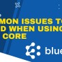 Avoid Common Issues For Optimal Cin7 Core Use - BlueHub