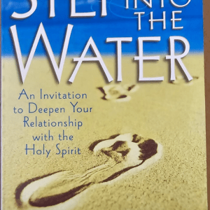 Step Into the Water - Peg Ryan