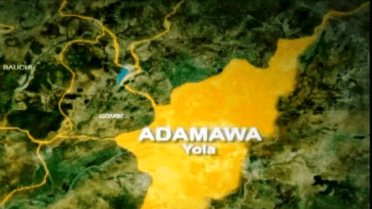Terrorists Kill 29 Villagers Watching Football Match In Adamawa Adamawa State Map 