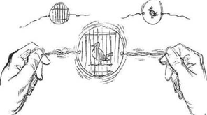 The curious history of video animation