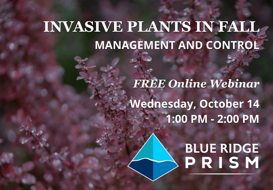 Fall Invasive Plant Control webinar details