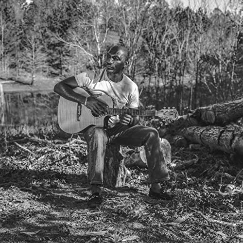 洋楽 Cedric D'vine Simply D'vine indie R&B Roadhouse album review: Cedric Burnside adds personal “I Be Trying