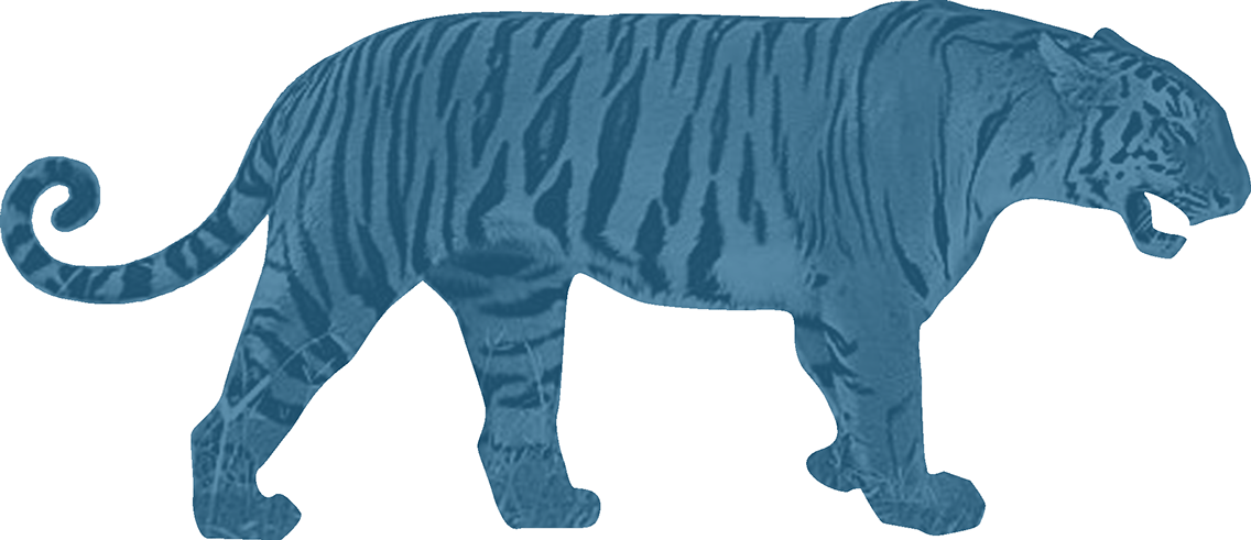 blue-tiger-FULL-logo2