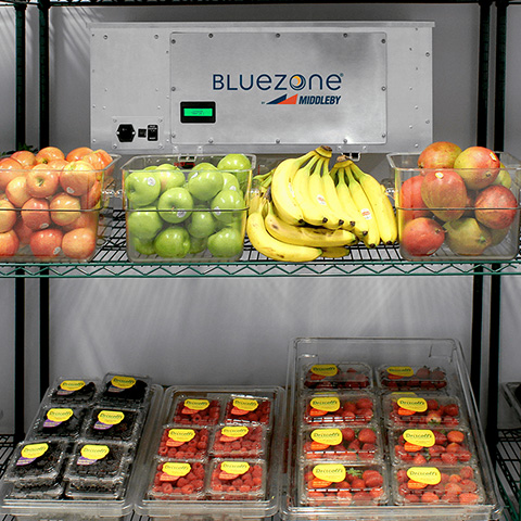 Model 2400 - Bluezone