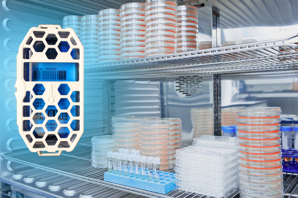 IdentiCool in Incubator - Life Science