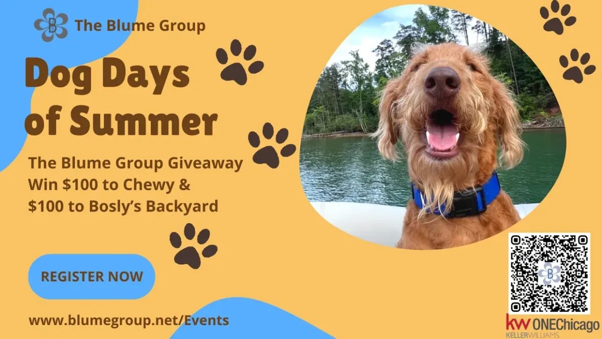 Dog Days of Summer
