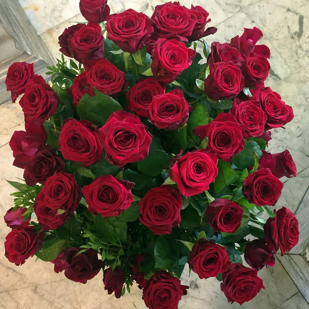 Rote rosen
