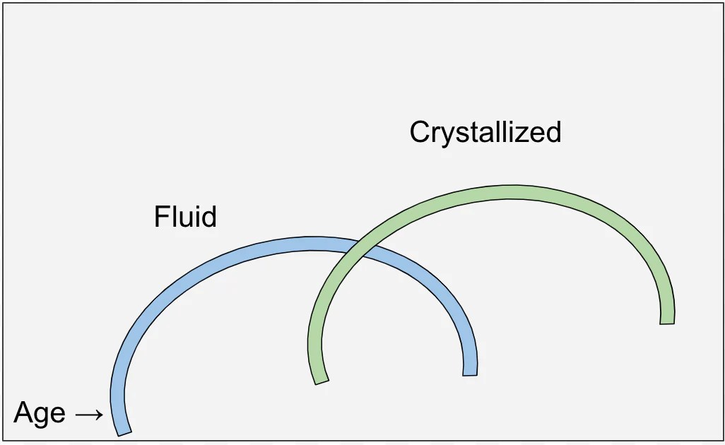 Fluid Vs Crystallized Intelligence Bright Light Ventures