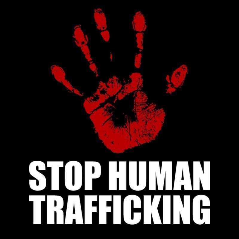 Convenient packages designed to help meet your texas pharmacy technician license requirements. Human Trafficking For Texas Pharmacy Professionals Continuing Education
