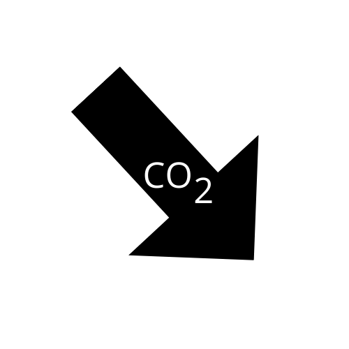 BLYYD neutre en carbone