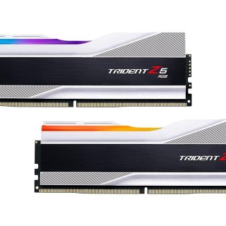G.Skill Trident Z5 RGB Series (Intel XMP 3.0) DDR5 RAM de 32 GB (2 x 16 GB) 6600MT/s CL34-40-40-105 1.40 V UDIMM - Plata metálica (F5-6600J3440G16GA2-TZ5RS)