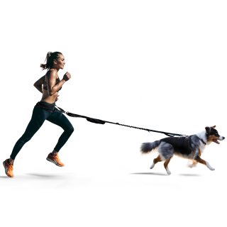 FITLY - Cinturón para correr para perro, correa para perro, arnés Canicross para llevar artículos personales para correr, caminar, caminatas, correas para la cintura para perros con bolsa de cinturón,