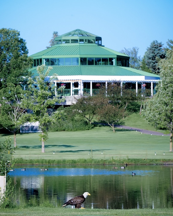 BMGA Metro Senior Teams Advance, thanks in part to Dan Olson’s Ace