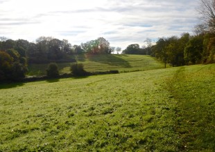 Thumbnail for the post titled: Basildon Council Welcome SSSI Status for Langdon Ridge