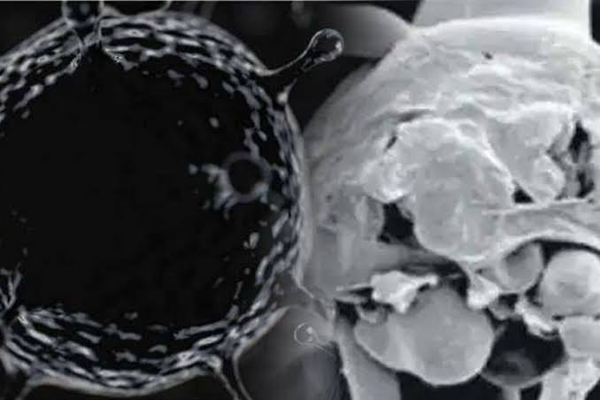 ब्लैक फंगस या म्यूकोरमाइकोसिस और व्हाइट फंगस