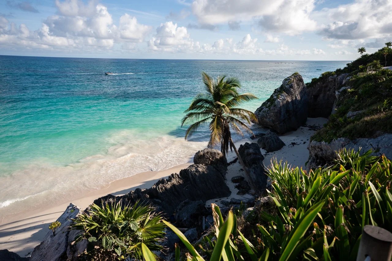 Eine einzelne Palme steht an einem ruhigen, felsigen Strand in Yucatan mit türkisfarbenem Wasser und weichem weißen Sand.