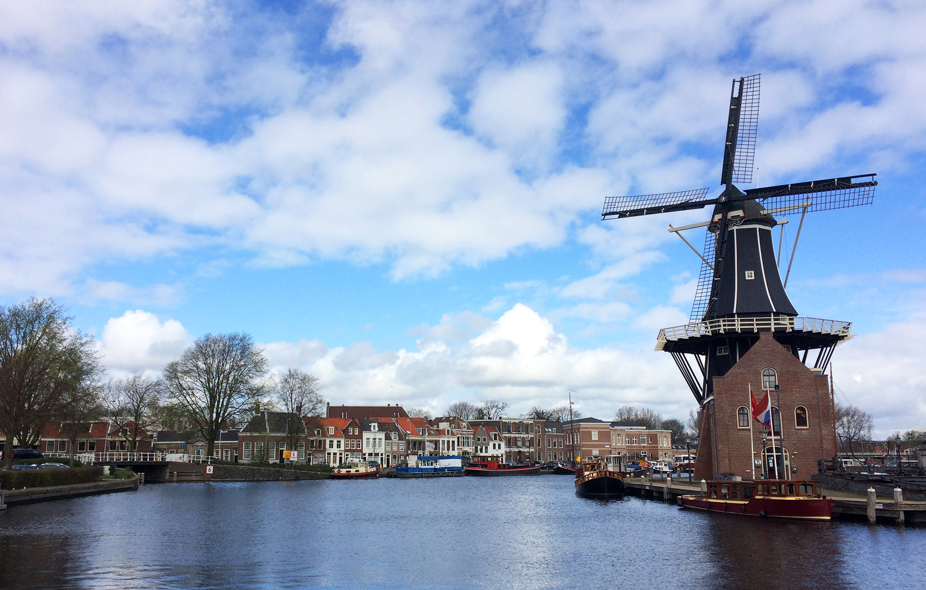 Windmill in Haarlem