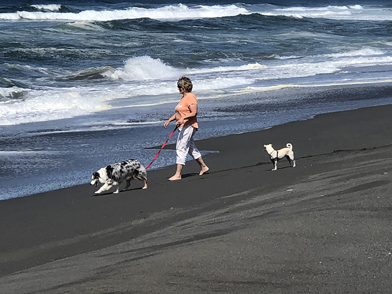 Carolyn walking the pups