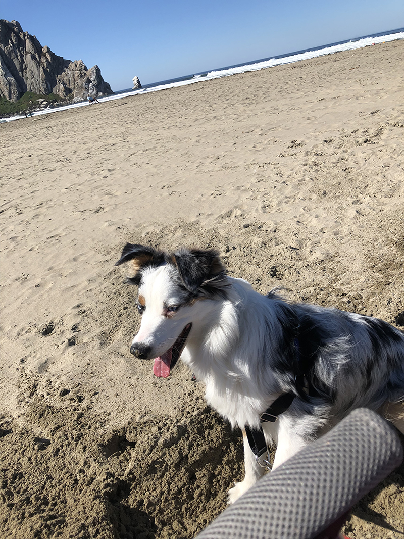 Handsome Danny