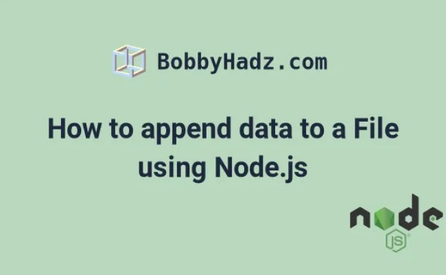 How To Append Data To A File Using Node.js [6 Ways] | Bobbyhadz