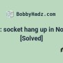 Error: Socket Hang Up In Node.js [Solved] | Bobbyhadz