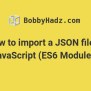 Import A JSON File In JavaScript And Node.js (ES6 Modules) | Bobbyhadz