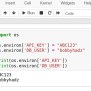 How To Set And Get Environment Variables In Jupyter Notebook | Bobbyhadz