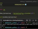 Generate Random Bytes Or Random Hex String In Python Bobbyhadz