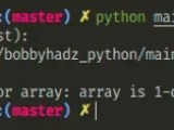Indexerror Too Many Indices For Array In Python Solved Bobbyhadz