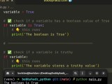 Python If Boolean True False