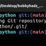 Reinitialized Existing Git Repository In /path/to/repo | Bobbyhadz