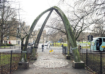 1886_EdinburghJawboneArch