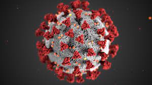 CovidVirus
