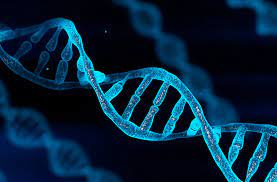 DoubleHelix