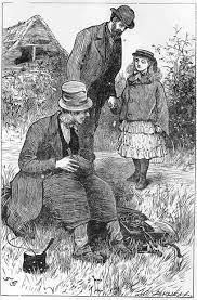 image-30