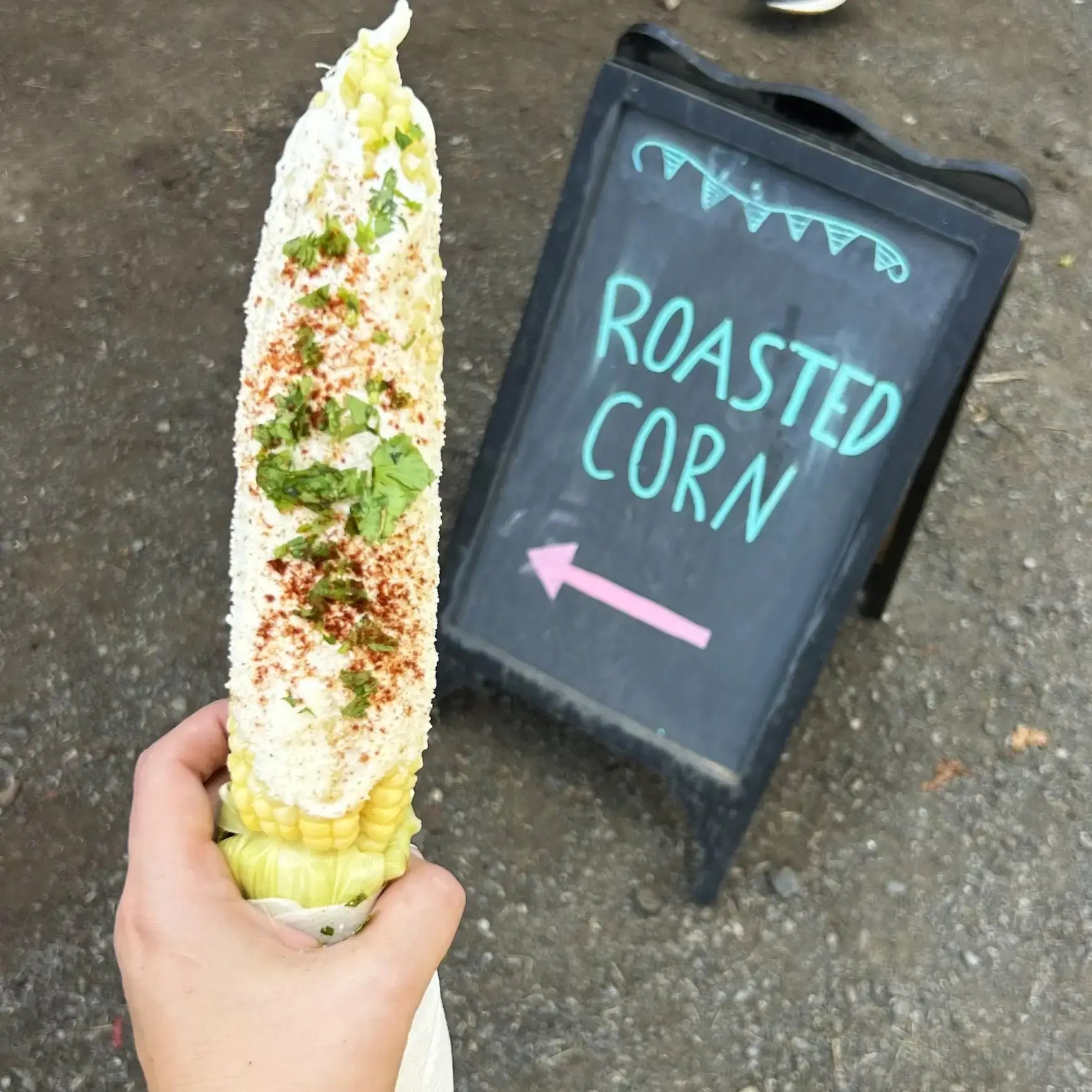 CornRoaster2