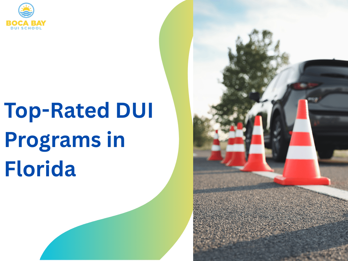 Top-Rated DUI Programs in Florida