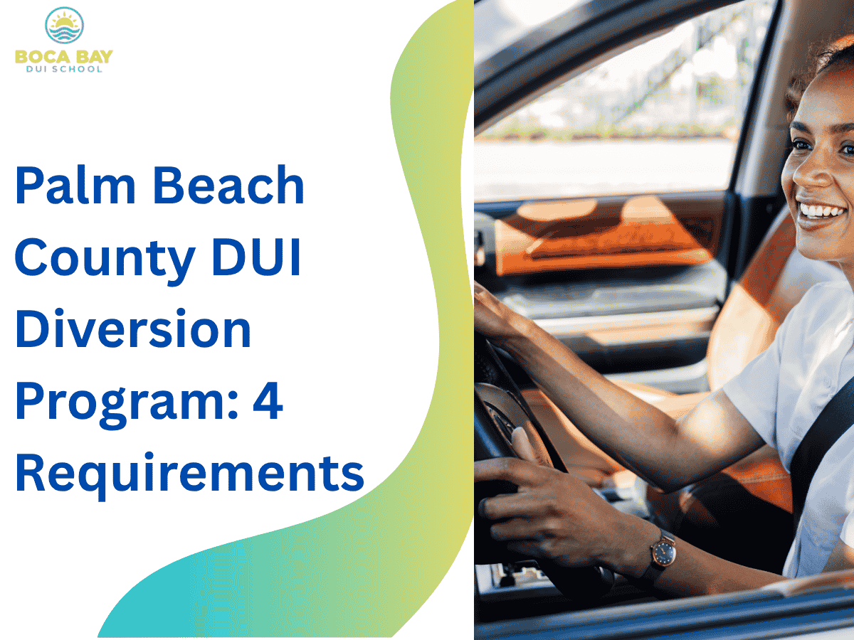 Palm Beach County DUI Diversion Program