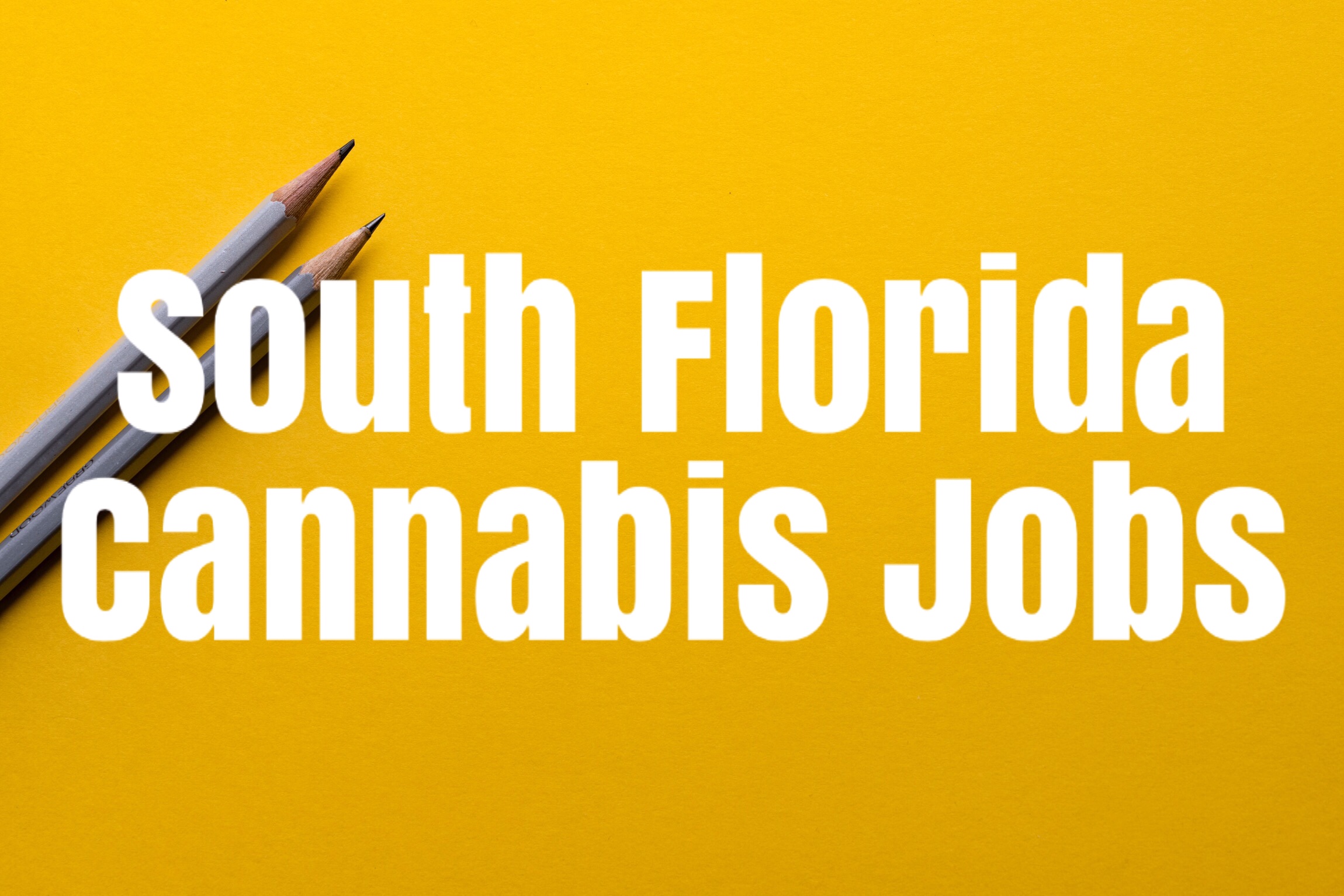 Cannabis Security Jobs - 32imdff