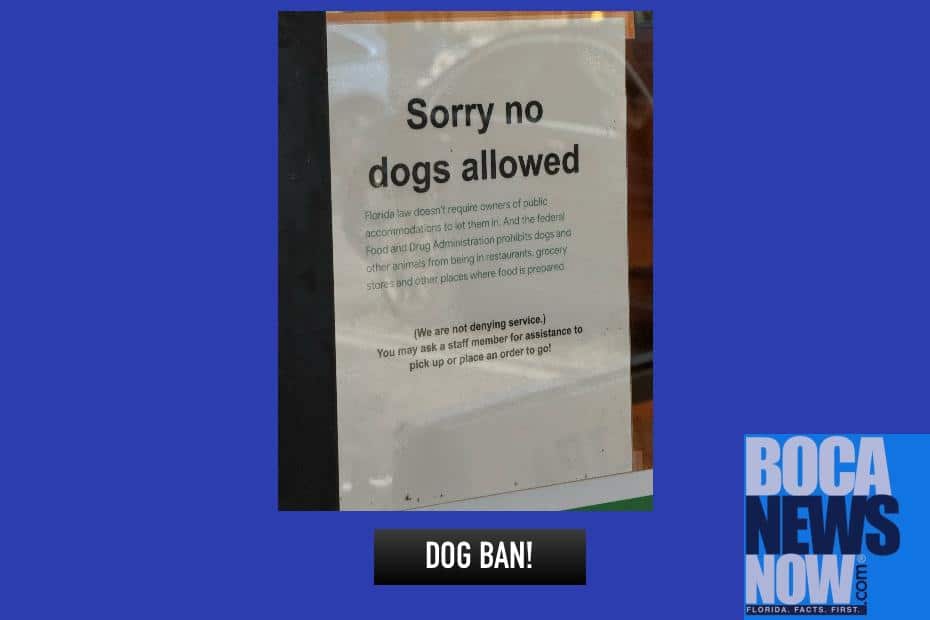 Boca Raton Restaurant Bans Dogs Legally, We Say "Way To Go" Dominic's - Vimarsana News